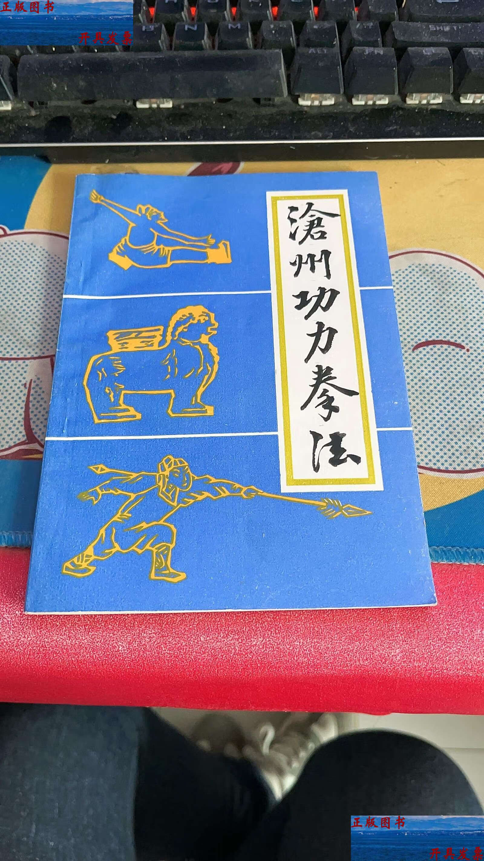 沧州功力拳法 /徐雨辰著 陕西省武术学会