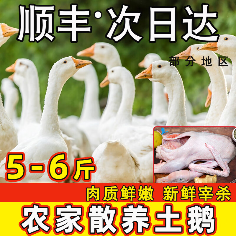 ���ڲ�������������ũ��ɢ����׶��䶳�����۶�������������ֻ±��ԭ�ϴ��7-8�� ����5-6�� �ж죺1ֻ 49.8Ԫ