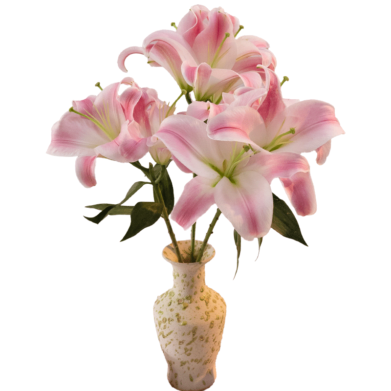  ʻֱ ɫˮٺ9 ͥʻԴͷֱ 19.9Ԫ(ȯ)