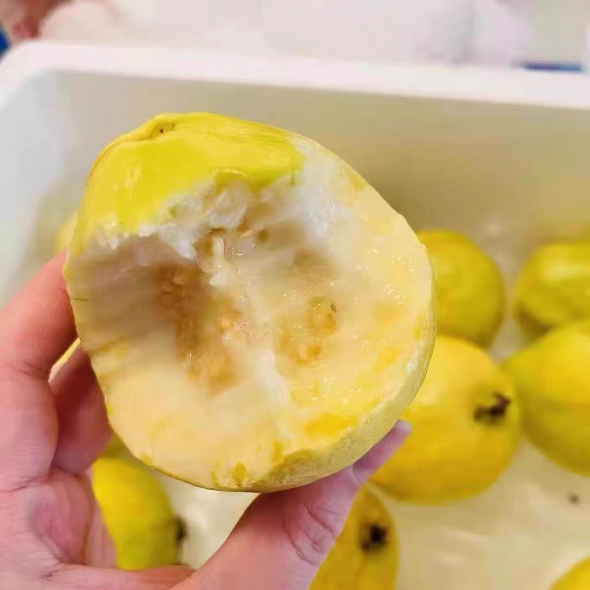 果悠喜 广西软心奶油白心芭乐 应季番石榴低糖时令新鲜水果 净重4.5斤8-14个(单果200g+)
