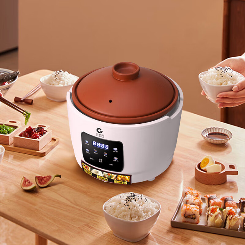 新创埼真紫砂电饭煲0涂层纯紫砂内胆智能家用多功能煲仔饭煮粥煲汤无涂层电砂锅环抱立体加热3L预约定时 白色 3L 配（紫砂内胆+紫砂双盖）