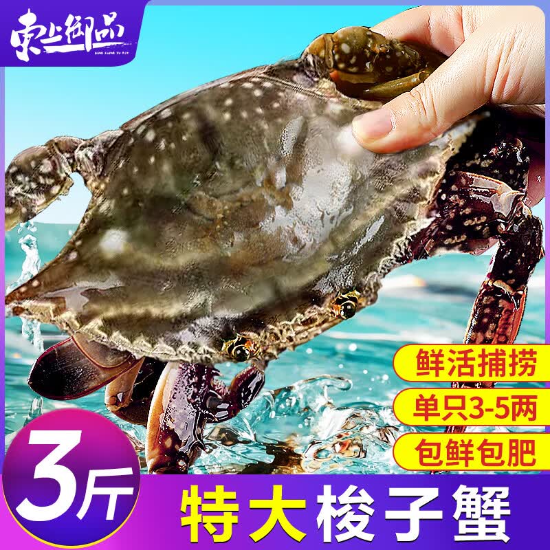东上御品 舟山梭子蟹 鲜活大号野生大螃蟹新鲜冷冻海鲜水产海蟹 梭子蟹3-5两/只 3斤