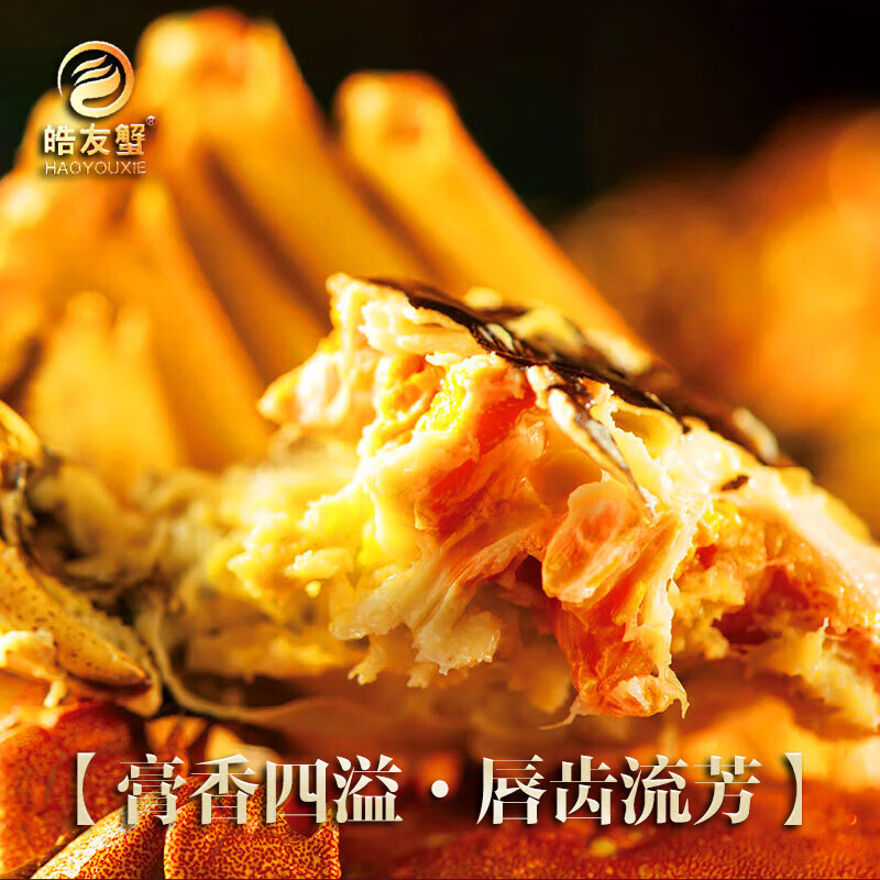 【活蟹】皓友兴大闸蟹 全母现货鲜活螃蟹生鲜海鲜中秋礼盒装 公4.0两母3.0两5对10只