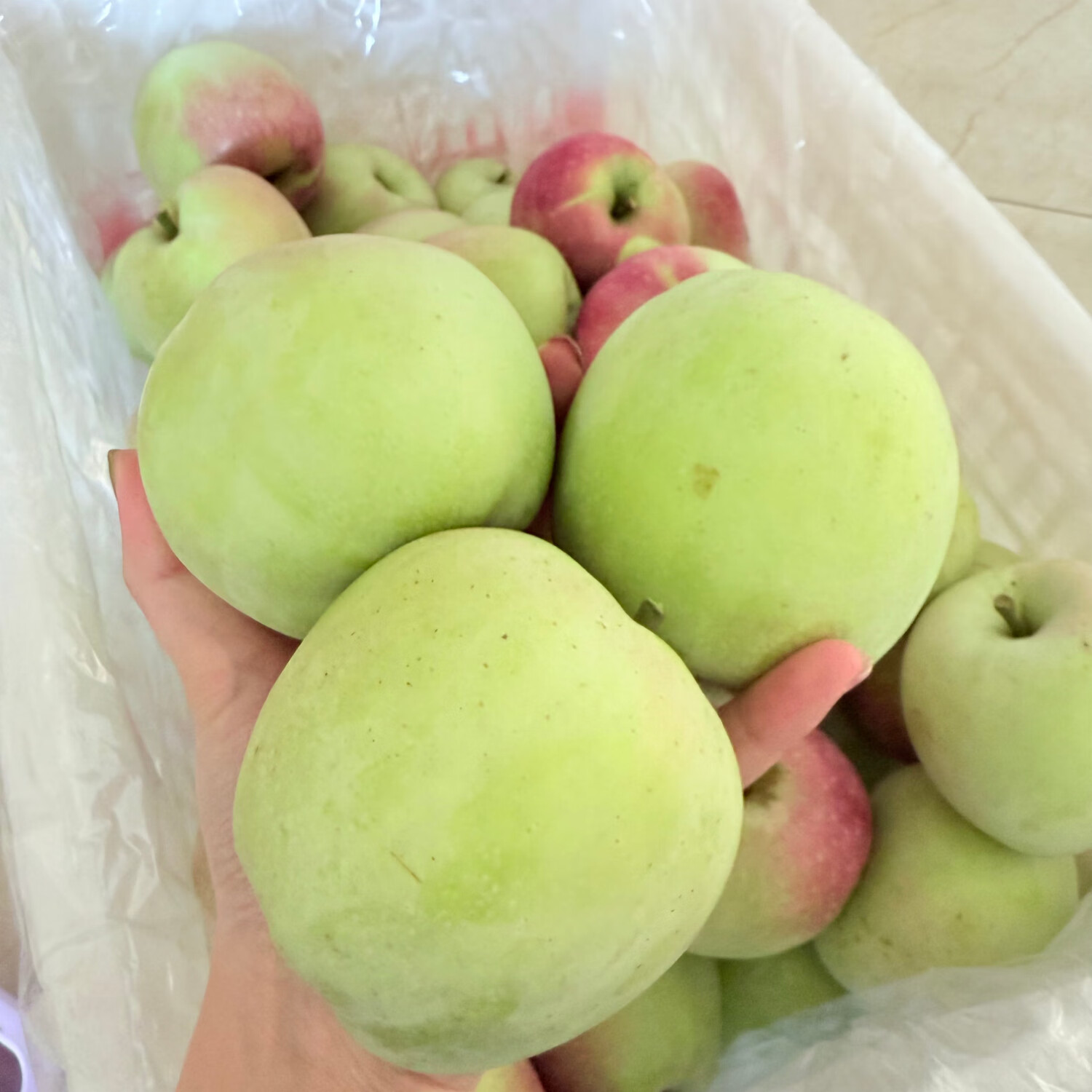 暖欣果（NUANXINGUO）东北正宗老树印度青苹果纯甜哏无酸丑苹果新鲜礼盒生鲜时令水果 5斤超大果（单果250g+)