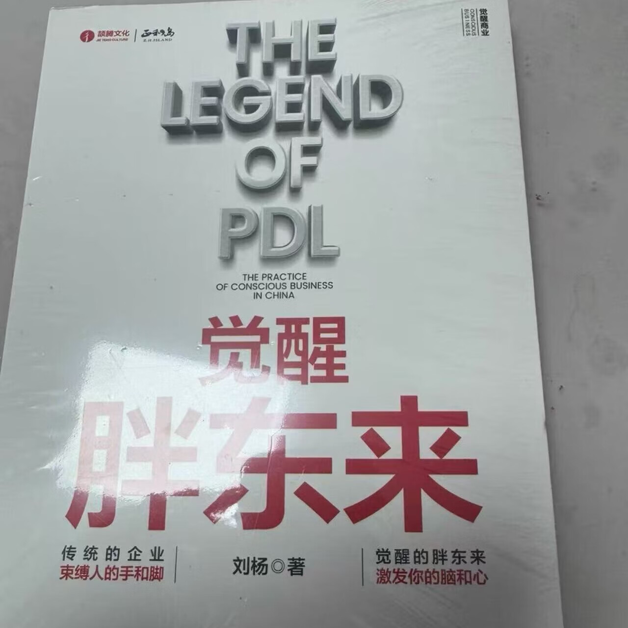 全新觉醒胖东来 刘杨著 中国广播影视出版社出版 现货现发 觉醒胖东来