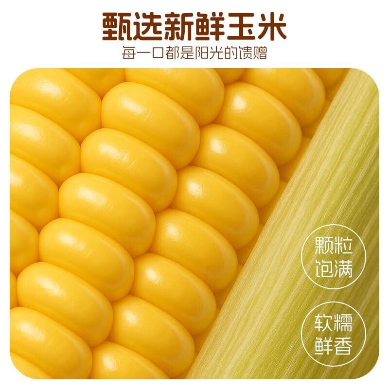 https://img14.360buyimg.com/pop/jfs/t1/334859/10/18959/80346/68dbe03dFf6f0f63b/76d3ade8bbc96095.jpg