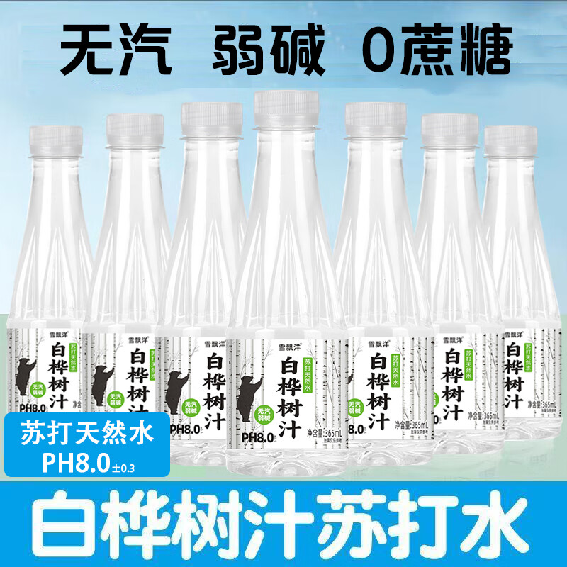 雪飘洋白桦树汁苏打水植物饮料整箱团购批发 365ml*12瓶