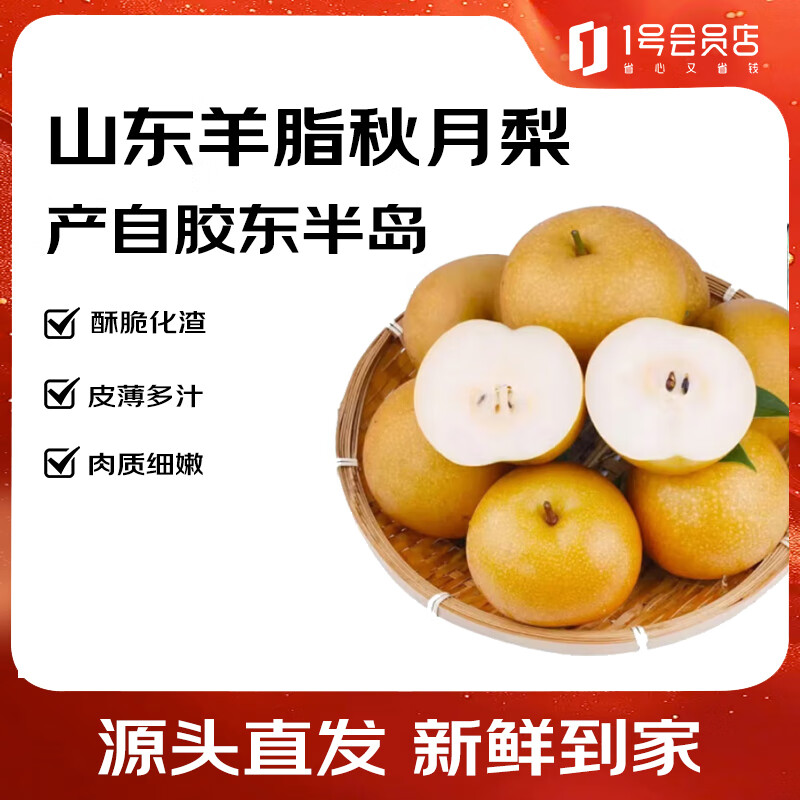 趣尝鲜 山东羊脂秋月梨 净重8斤 12枚 水果 源头直发 一件包邮