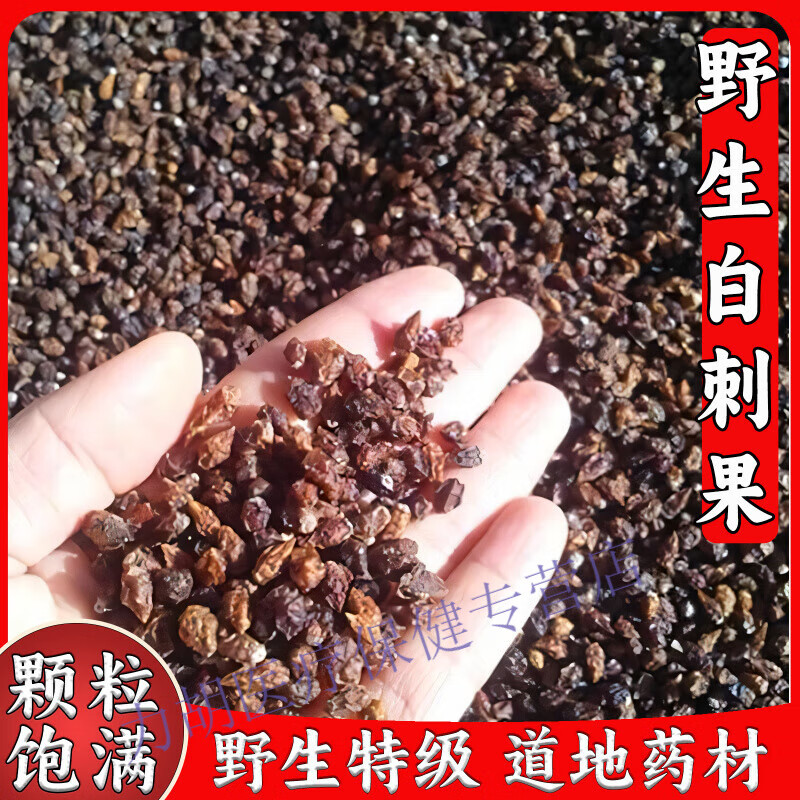 白刺果野生新货甘肃沙漠樱桃酸胖干果非沙棘果泡茶养生