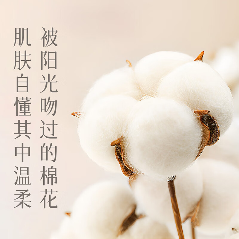 恒源祥袜子女生100%纯棉袜秋冬保暖长中筒袜吸汗10A抑菌防臭女 10双装（2本白2米色2浅花灰2姜黄2焦糖） 均码