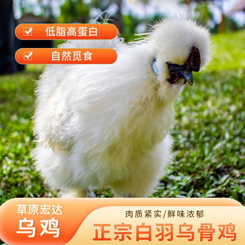 草原宏达乌鸡700g鸡肉乌骨鸡农家土鸡月子餐月子鸡汤材料慢养110天以上