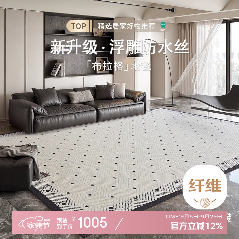 兴连心地毯客厅2025新款免洗可擦轻奢高级感高品质硅藻丝大面积沙发毯 硅藻丝-布拉格 200×300cm 京东折扣/优惠券