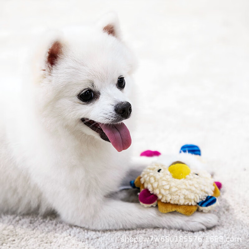 贵为（GiGwi）Gwi响纸系列小型犬狗玩具狐狸浣熊狮子小狗泰迪发声 Q趣响纸巾-蝾螈