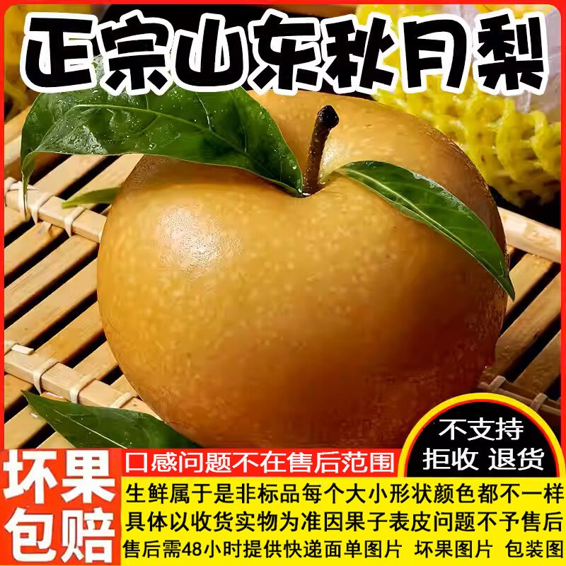 鲜苑胖胖山东正宗莱阳秋月新鲜采摘羊脂老树中秋送礼孕妇水果 4.5斤中果(精选7-9个)