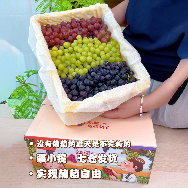 润小萌新疆葡萄新鲜吐鲁番 无核白 玻璃脆 玫瑰香 无籽提子 礼盒 疆小提三色葡萄4斤 京东折扣/优惠券