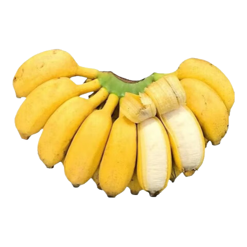 活动广西小米蕉香蕉软糯香甜当季新鲜水果现摘青皮发货整箱包邮 1斤