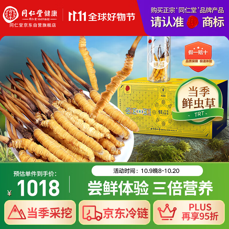 同仁堂（TRT）品牌 新鲜冬虫夏草鲜虫草约0.81-1.0克/根10根装源头直发青海