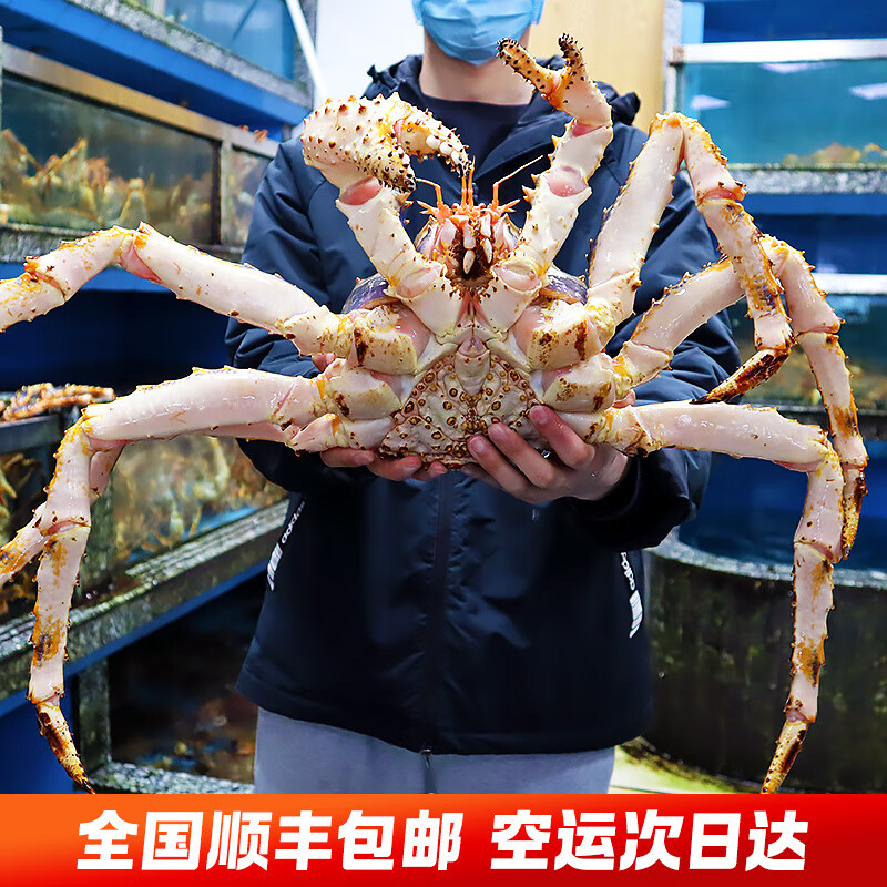 胖东来品质代购蟹鲜活超特大10海鲜水产4-8斤活体长脚蟹帝皇蟹上 6-6.3斤1只【包活到家】