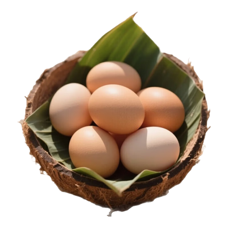 ����ũ��ɢ������������ͷ�ѵ�30ö40g/ö�����µ����ʳ��� 15ö  
���: 15ö  

���: ����ũ��ɢ������������ͷ�ѵ� 15ö 40g/ö �����µ� 10Ԫ