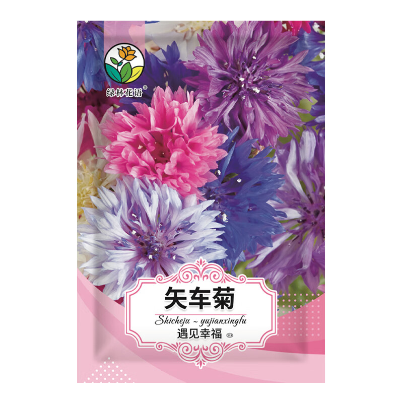 绿林花语矢车菊种子重瓣混色耐寒四季花卉种子庭院室内外阳台盆栽约
