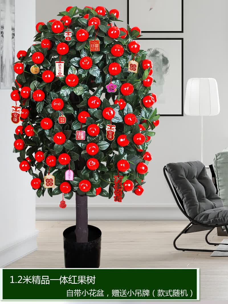 2米幸福红果(带小盆)