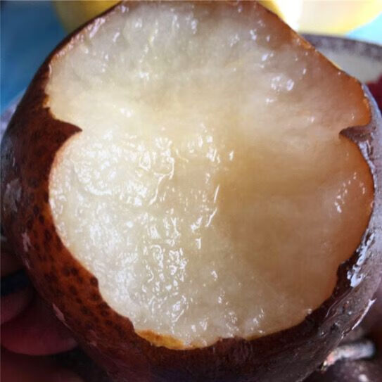 喜酷橙东北冻梨正宗冻秋梨大黑梨苹果梨花盖梨大甜梨 9斤