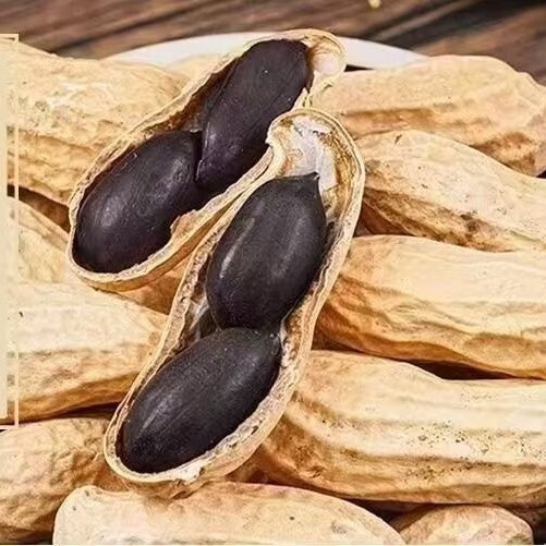 高品质云南富硒黑花生带壳老品质小颗粒生黑衣花生养胃黑生花生 精选农家自种带壳黑花生 4斤 正宗云南沙地种植