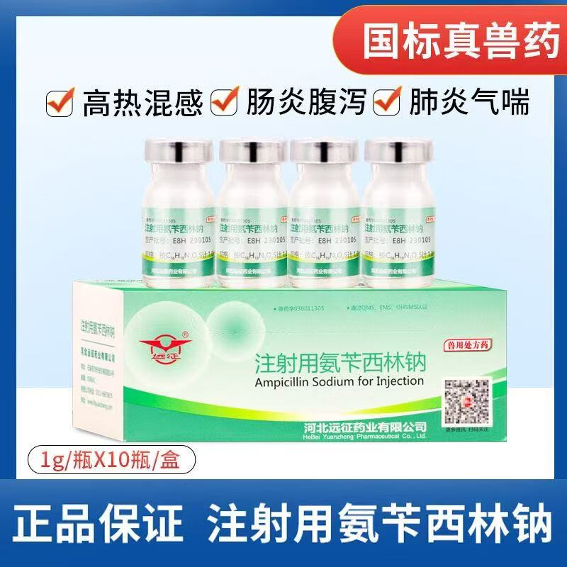 兽用远征注射用氨苄西林钠猪牛羊鸡狗猫大肠杆菌腹泻咳嗽抗菌消炎