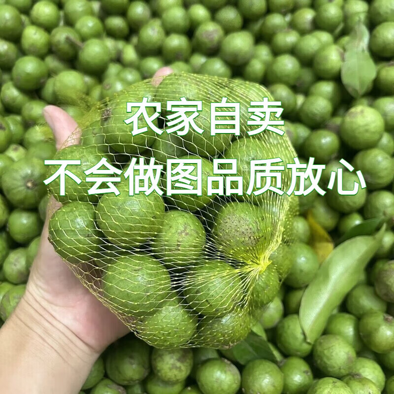 广东仁面果仁面子阳春特产 仁稔银莲果人面子 现摘新鲜 1斤
