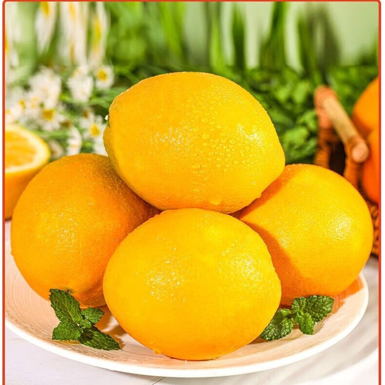 ںŦɶʵˮְɽժˮ ѡŦɶ 575-85mm ش 21.5Ԫ