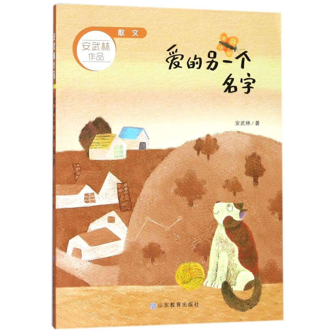 【新华书店】爱的另一个名字/安武林作品 正版包邮