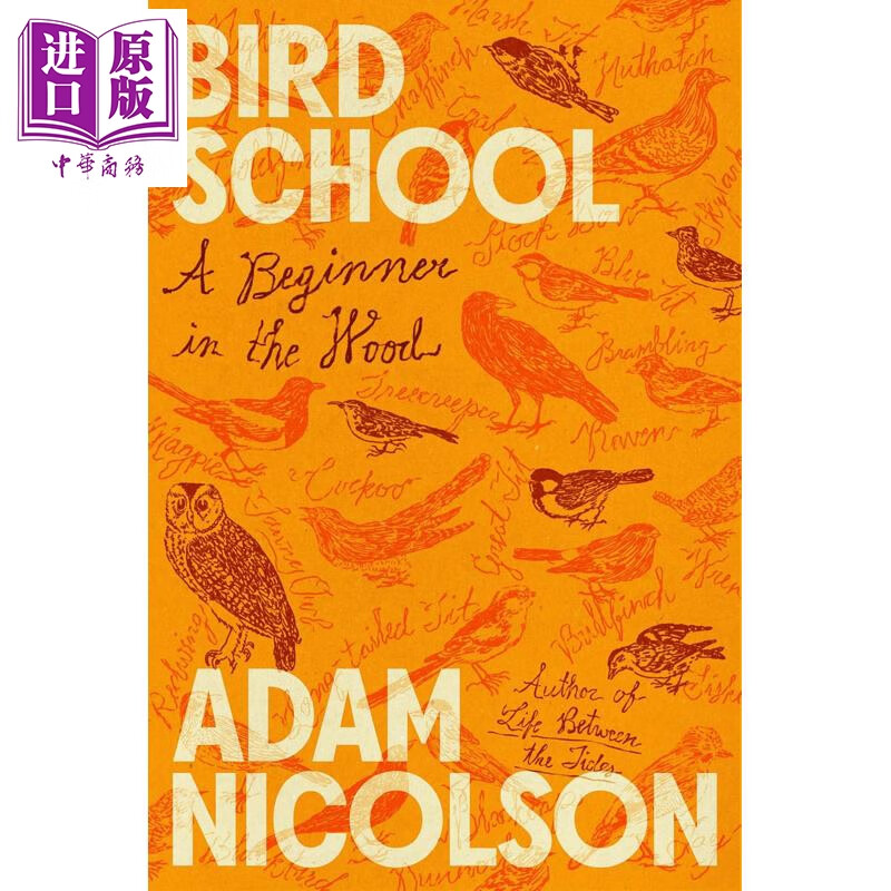 预售 鸟类学校 森林中的初学者 Bird School A Beginner in the Wood 英文原版 Adam Nicolson