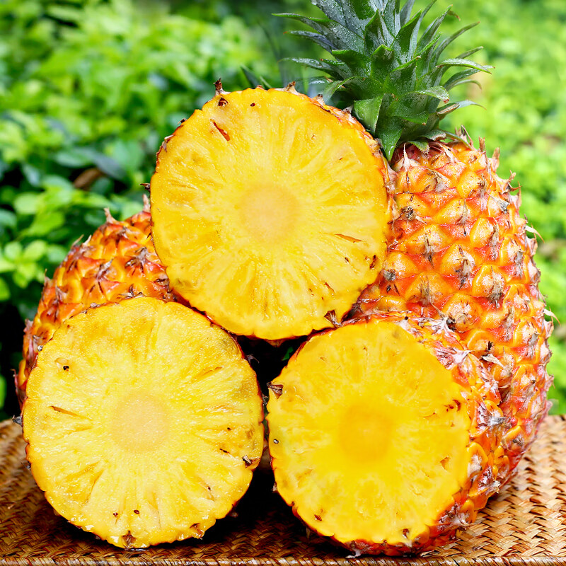 鲜友季海南金钻凤梨新鲜菠萝单果1.3-1.8斤现摘水果生鲜金菠萝 净重4.5-5斤(单果1.3斤起)