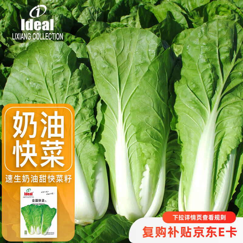 IDEAL理想农业 速生奶油快菜种子小白菜青菜种籽阳台种植四季蔬菜种子