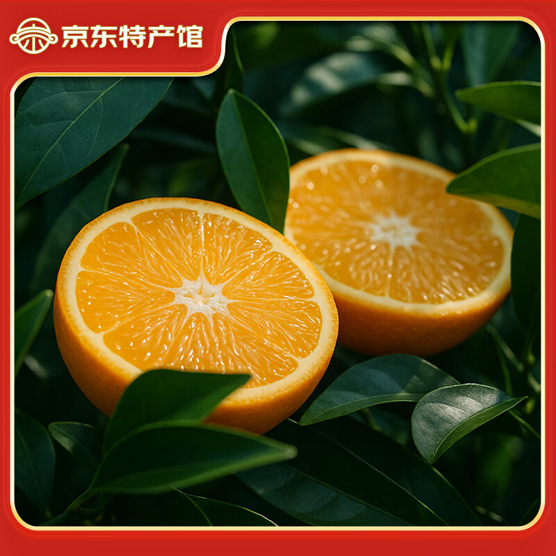 赣南脐橙 正宗赣南脐橙 江西赣州橙子手剥橙新鲜水果礼盒当季现摘时令生鲜 5斤优选单果110-160g净重4.5斤+