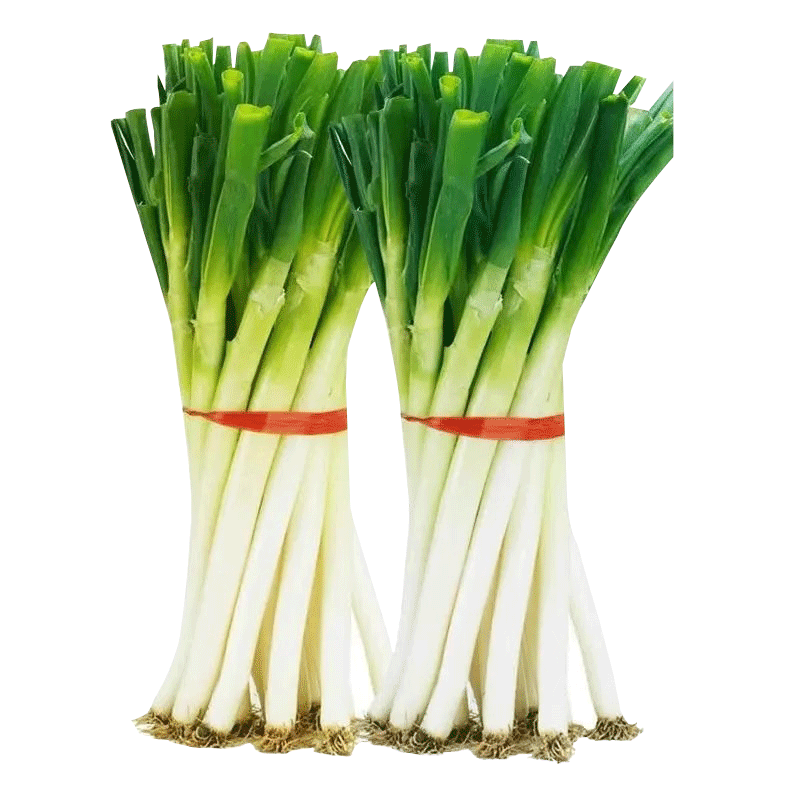 京地达山东大葱 净重5斤 50cm+ 去半叶新鲜蔬菜源头直发包邮