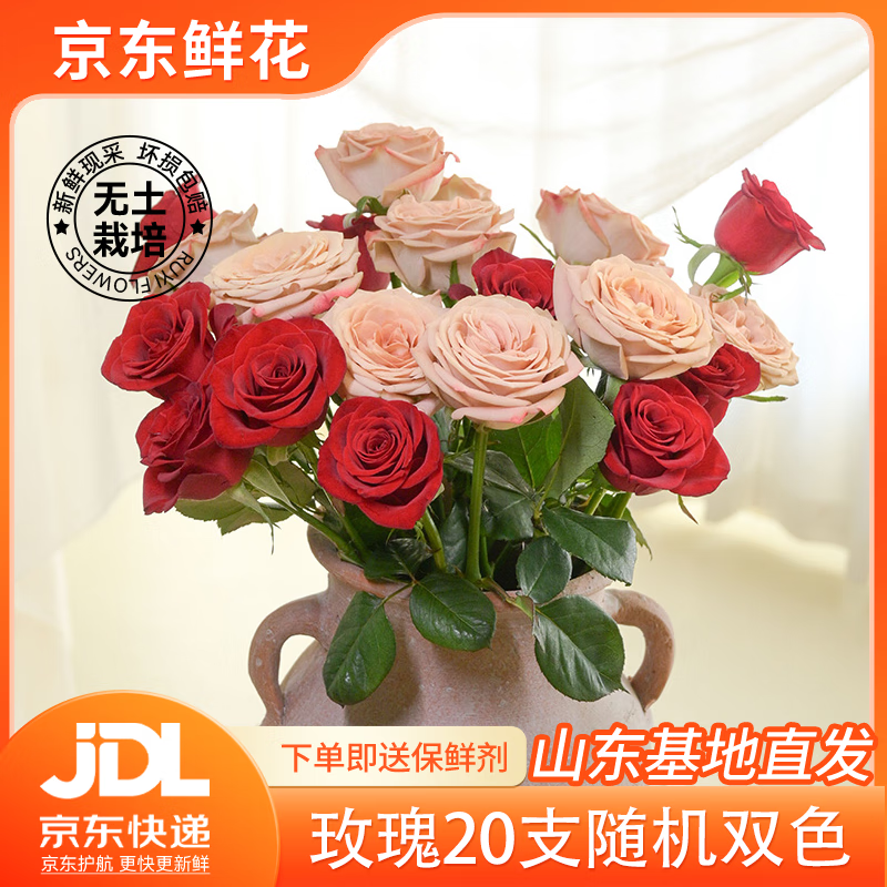 京东鲜花玫瑰花随机2色20枝山东基地新鲜采摘送男女朋友枝长40cm源头直发