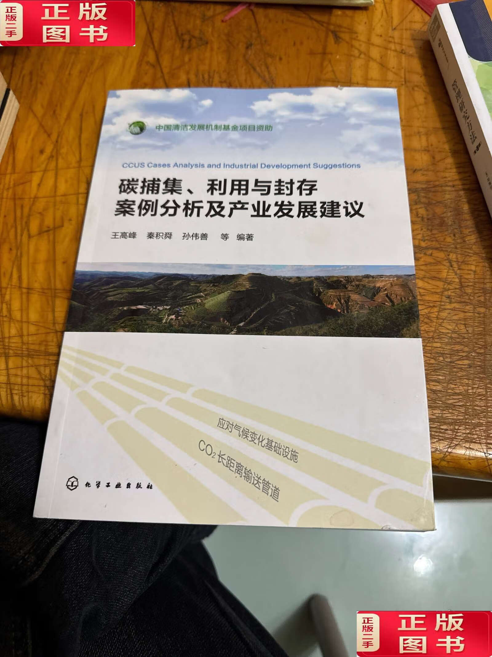 碳捕集,利用与封存案例分析及产业发展建议 /孙伟善