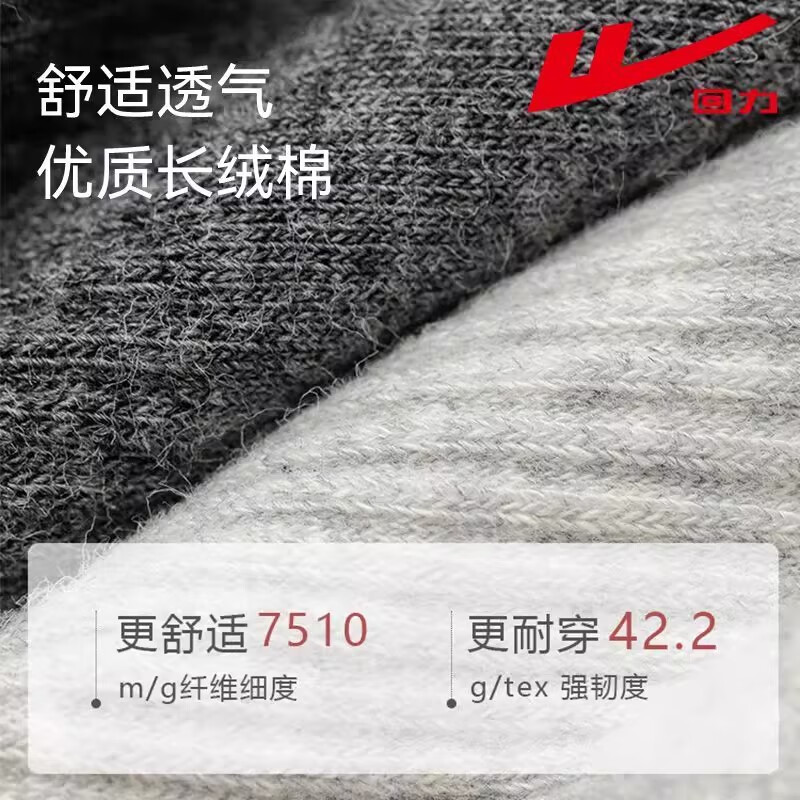 回力袜子冬季男士加厚保暖新疆棉7A抗菌条纹中筒袜纯色防臭吸汗休闲袜 【混色/5双装】真正好的精梳棉 均码 【秋冬加厚款】39-45