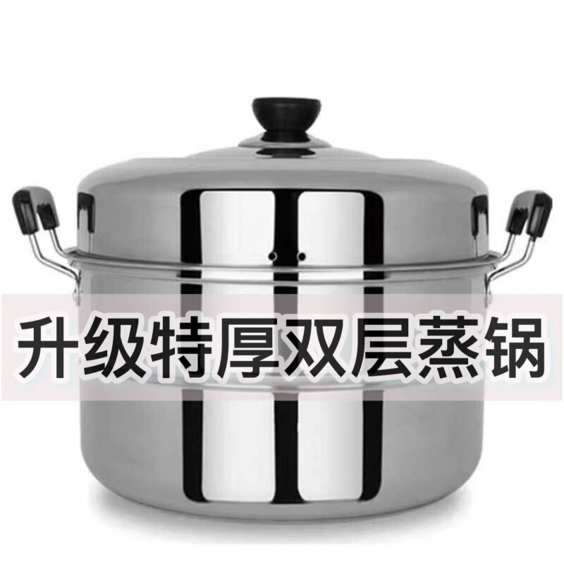 咏夏加厚不锈钢蒸锅家用大号蒸煮炖蒸笼蒸鱼锅蒸馒头电磁炉煤气灶通用 升级特厚】双层(2-3人) 28cm