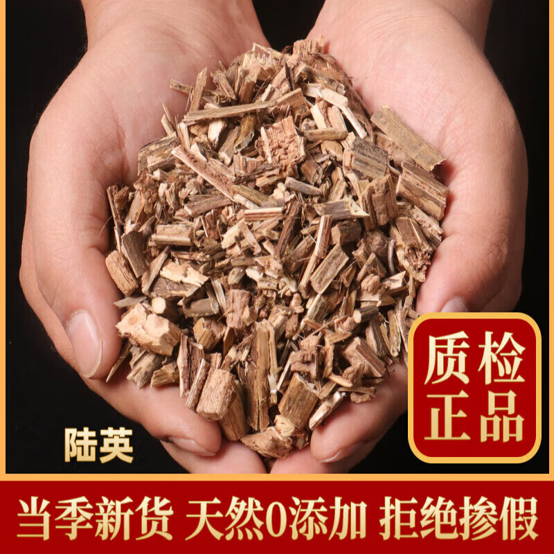 北京同仁堂中药材 陆英500g克 接骨草