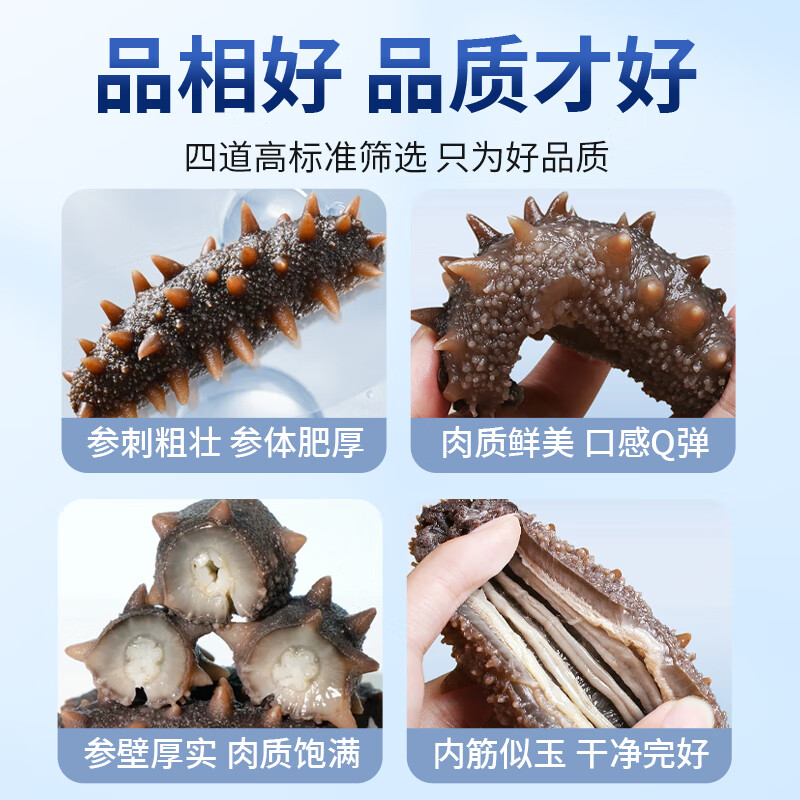 参裕岛7星级 大连即食海参鲜活鲜食海参野生辽参海生刺参孕妇 独立包装 3斤即食海参 30-36头  实惠装