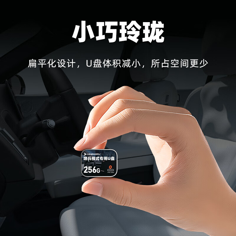 朝上哨兵模式行车记录仪U盘适用零跑/深蓝/领克/吉利银河/360/特斯拉汽车车载通用usb高速FAT32优盘 哨兵模式专用U盘type-c接口【C350】 512GB 【行车记录仪专用U盘】