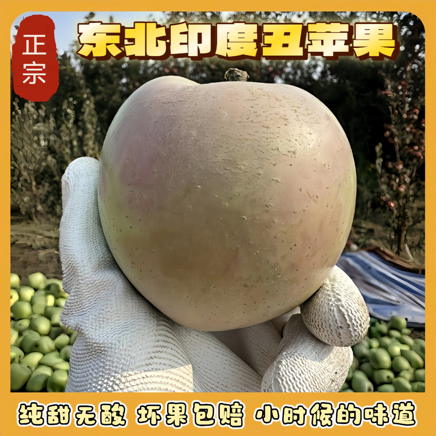 暖欣果（NUANXINGUO）东北正宗老树印度青苹果纯甜哏无酸丑苹果新鲜礼盒生鲜时令水果 5斤超大果（单果250g+)