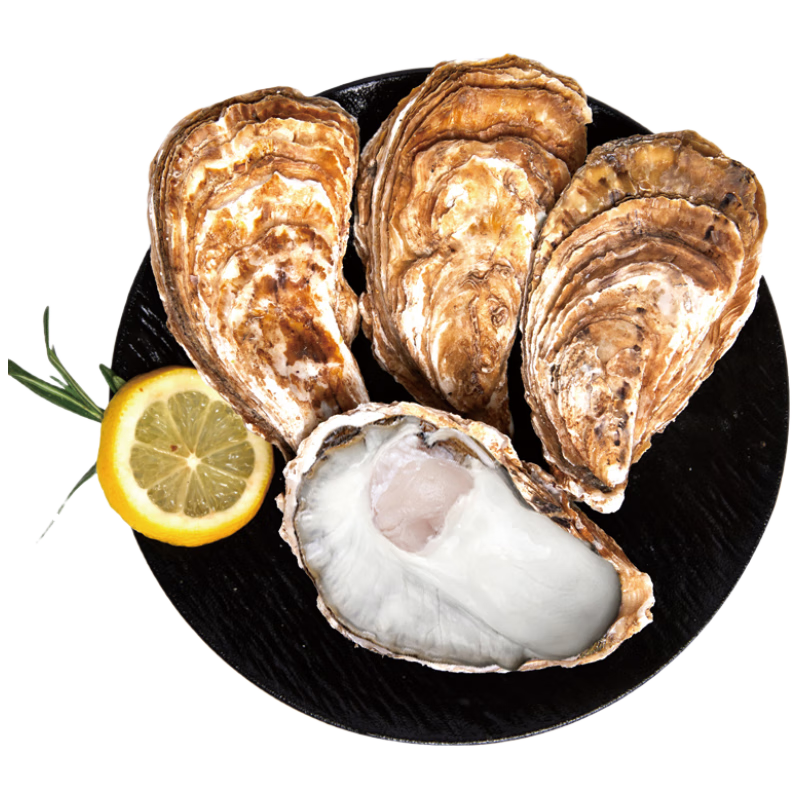 �ʾ��� �ʻ���� 6XL 5��װ ���ʱ��� Դͷֱ�� ���54.9Ԫ/������219.6Ԫ��