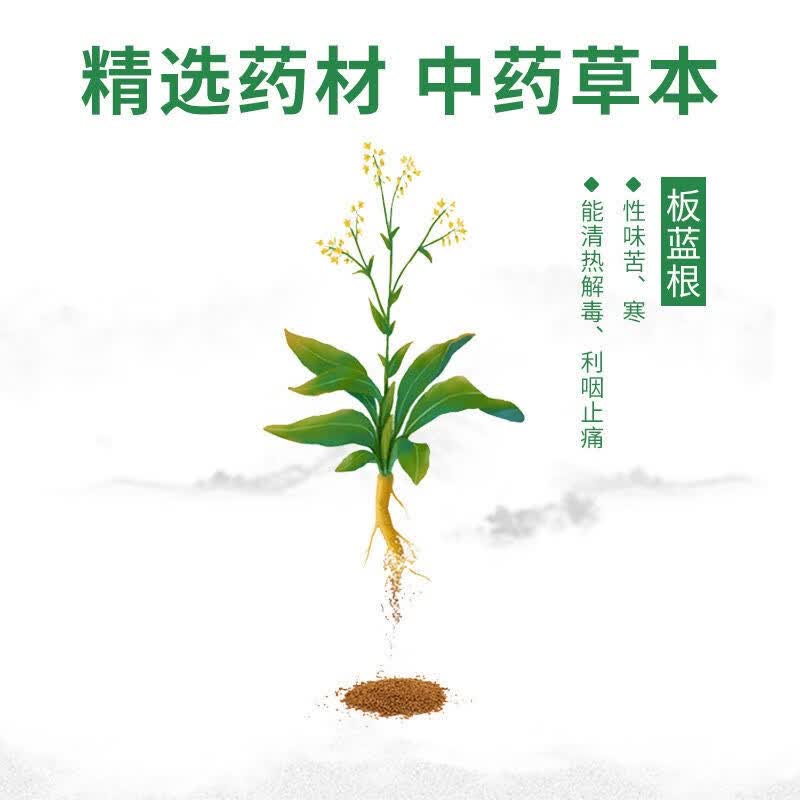 [蜀中]板蓝根颗粒 10g*20袋 3包装 10g*20袋清热解毒降火凉血利咽用于口咽干燥咽喉肿痛风热感冒官方旗舰店老牌子