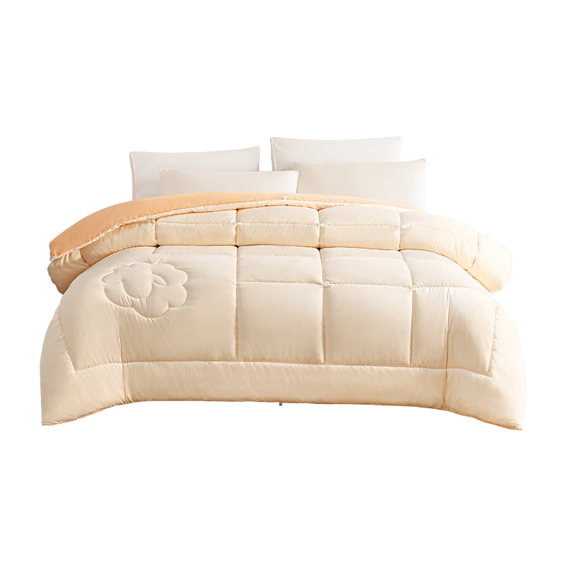 ڲ޶51%ë 2025˫оӱо5.52.2x2.4 160.65Ԫ()