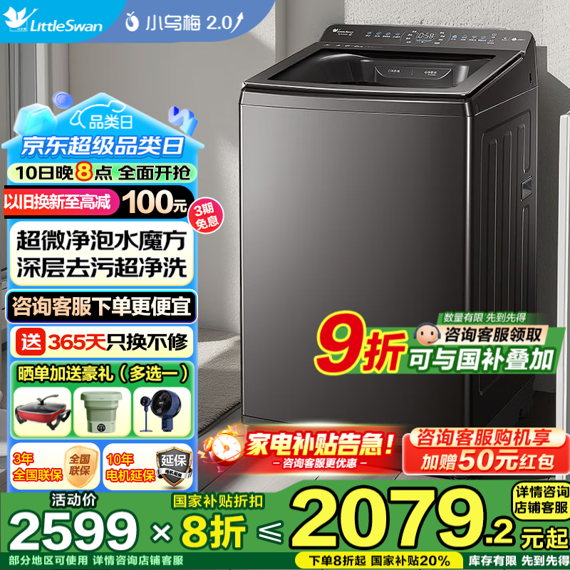 小天鹅（LittleSwan）小乌梅2.0波轮洗衣机全自动 家用10公斤 水魔方除菌螨 直驱变频 家电国家补贴20%洗衣机 以旧换新  TB10VE40D超微净泡+特定程序1.25洗净比