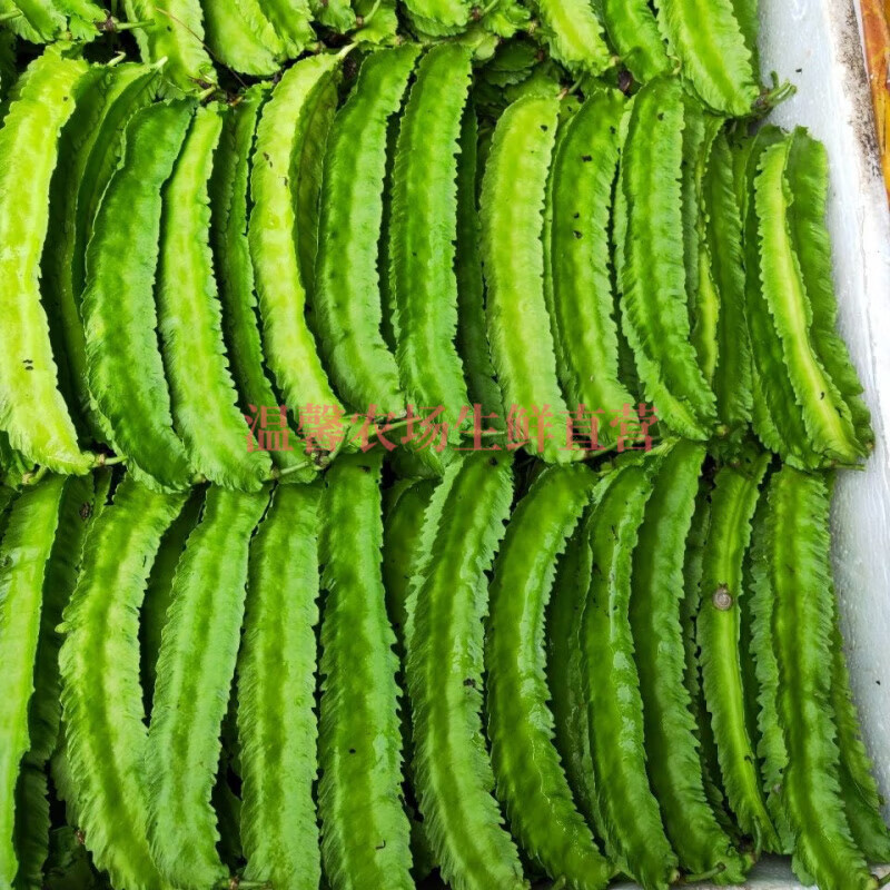 角四角豆三亚四棱豆杨桃豆皇帝豆孕妇蔬菜 2斤 现摘现发