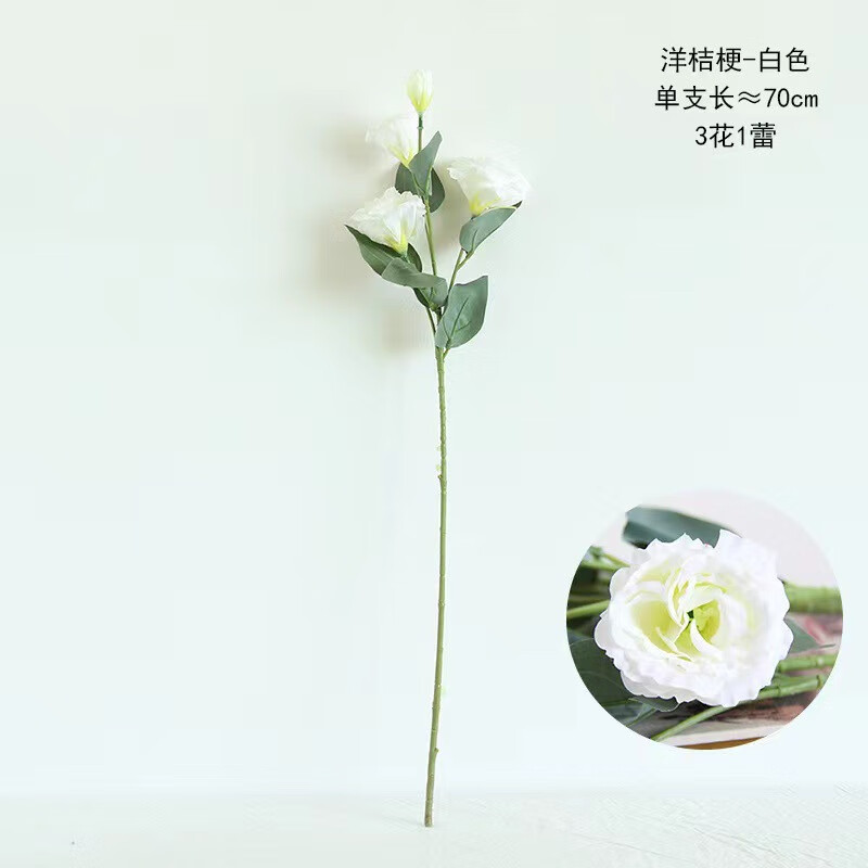 ���񳽷�����۹� 4ͷ�۹����滨�ٻ��ڼ������Ҿ�װ�λ�����Ӱ���� ��ɫ